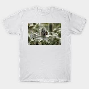 Green Thistle T-Shirt